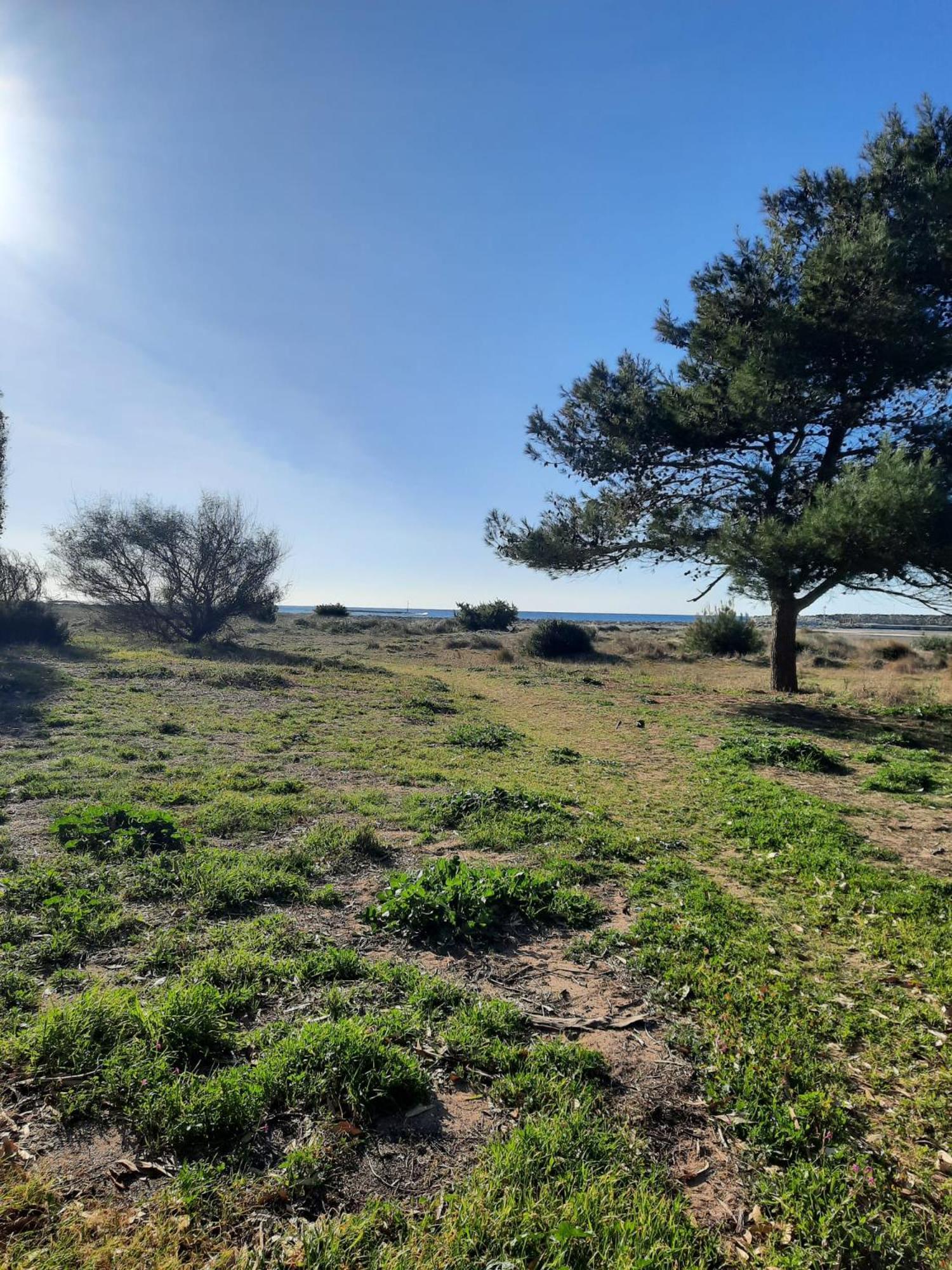 Fronte Mare Apartment Торе Сан Джовани Удженто Екстериор снимка